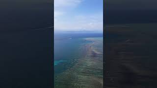 The Reef Under Nusa Lembongan Is Pure Magic