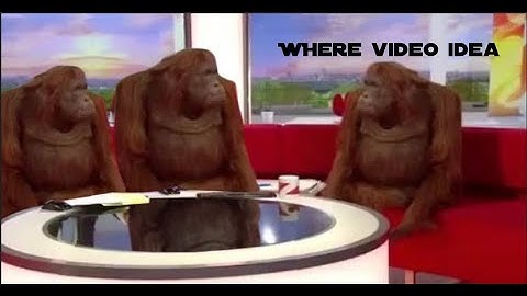 My last 3 brain cells when I