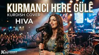 Kurmanci Here Gule | Hiva , Kurdish Cover , Here Gule Trend Music
