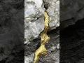 I Cracked Open a Random Rock… What I Found Was Insane. 💰🔨#shorts #gold #mining #shortsgold #asmr