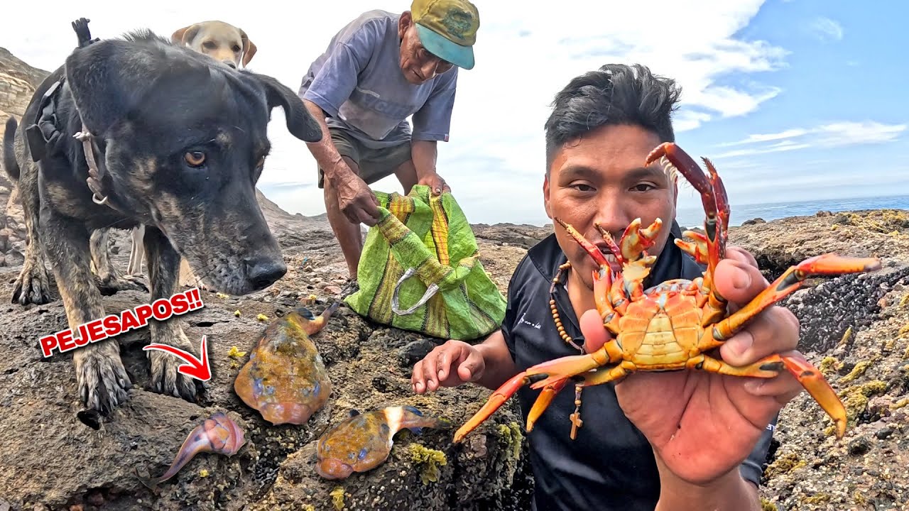 Don Adrián y Yo fuimos a capturar Pejesapos y no vas a creer lo que cocinamos - Vive solo en el mar