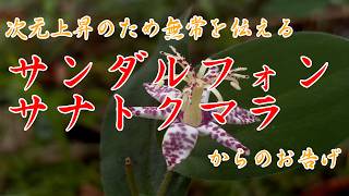 Divine Message (Waka Poem) Spiritual [September 25, 2026] Sandalphon Sanat Kumara