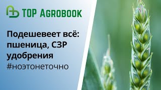 Подешевеет всё: пшеница, СЗР, удобрения #ноэтонеточно. TOP Agrobook: обзор аграрных новостей