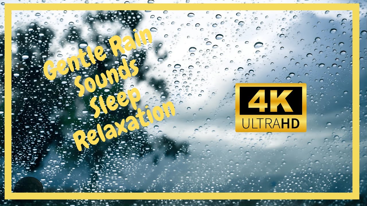 Rainy Day Window Ambience 🌧️ Soft Raindrops & Cozy Indoor | No Thunder – Relaxation & Sleep Sounds