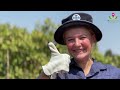 Edventure Travel - Kinross Wolaroi School - Vietnam and Cambodia Tour 2026