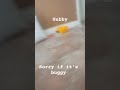 gubby
