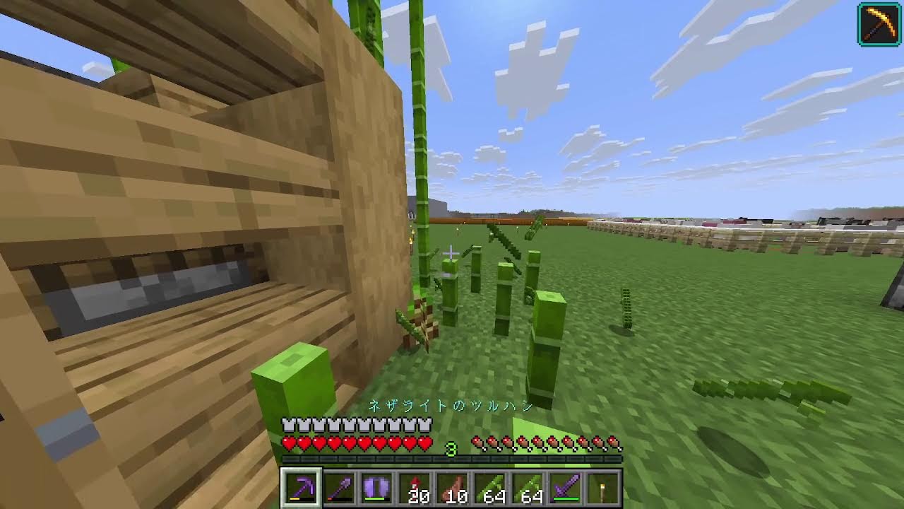 【作業用BGM】声なし｜マイクラ整地｜Java版｜作業配信