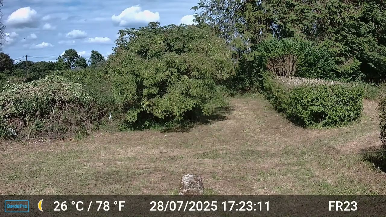 Pictures & Videos GardePro A3 Trail Camera 10 of 12 FR23 Part 1 Côtes d'Armor, Brittany, France