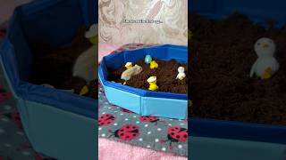 Miss. Jelly Tot Goes On A Easter Egg Hunt! 🐣🥚🐣 #shorts #hamsters #hamster #pets #pet