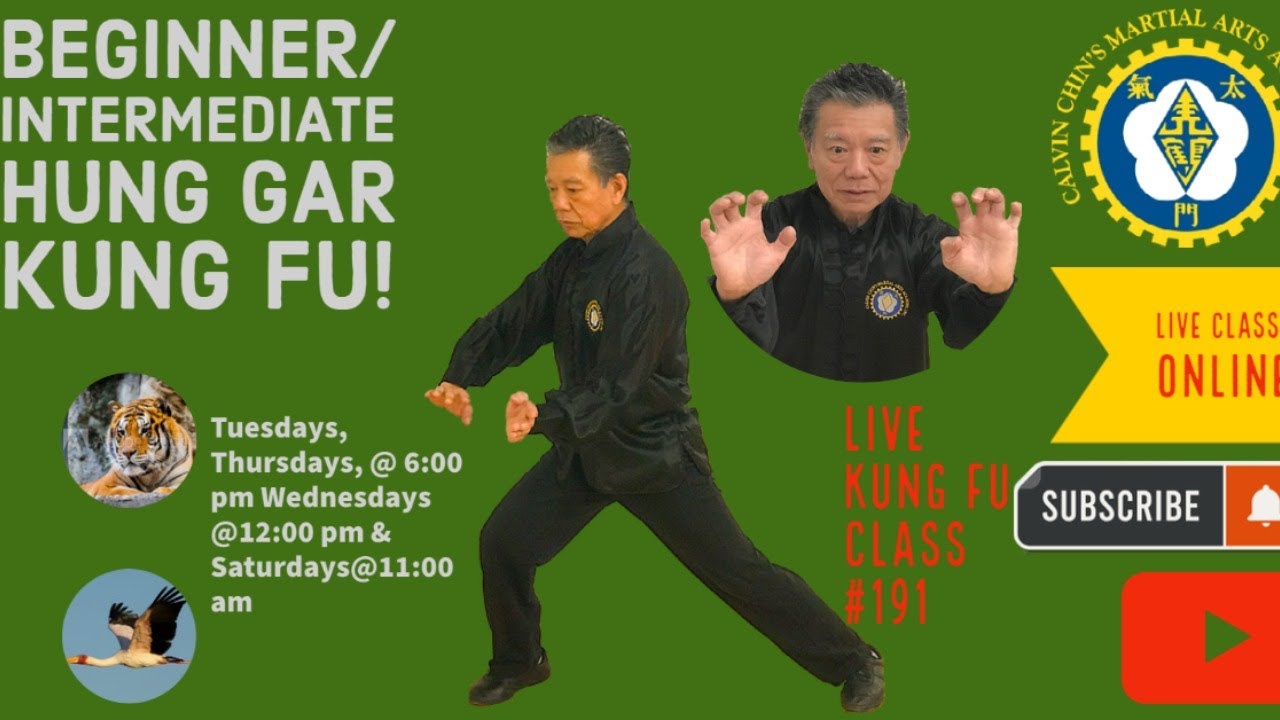 Beginner/Intermediate Hung Gar Kung Fu all ages Live! - YouTube