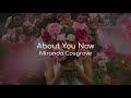 About You Now - Miranda Cosgrove (lyrics)