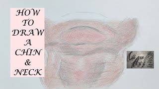 How To Draw A Chin & Neck  Step By Step Chin & Neck Drawing