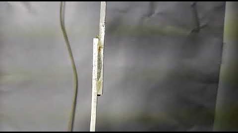 Mixed Adhesive Single Lap Joint test by Araldite 2015 and Araldite Av 138