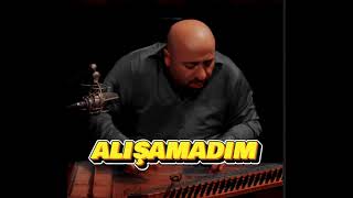 Aytaç Doğan-Alışamadım Slowed+ Reverb