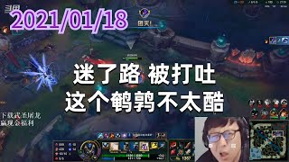 东北大鹌鹑0118P9螳螂:迷了路,被打吐,这个鹌鹑不太酷