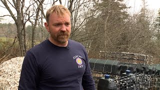 Maine oyster farmer Graham Platner seeks to bring a new perspective to US Senate