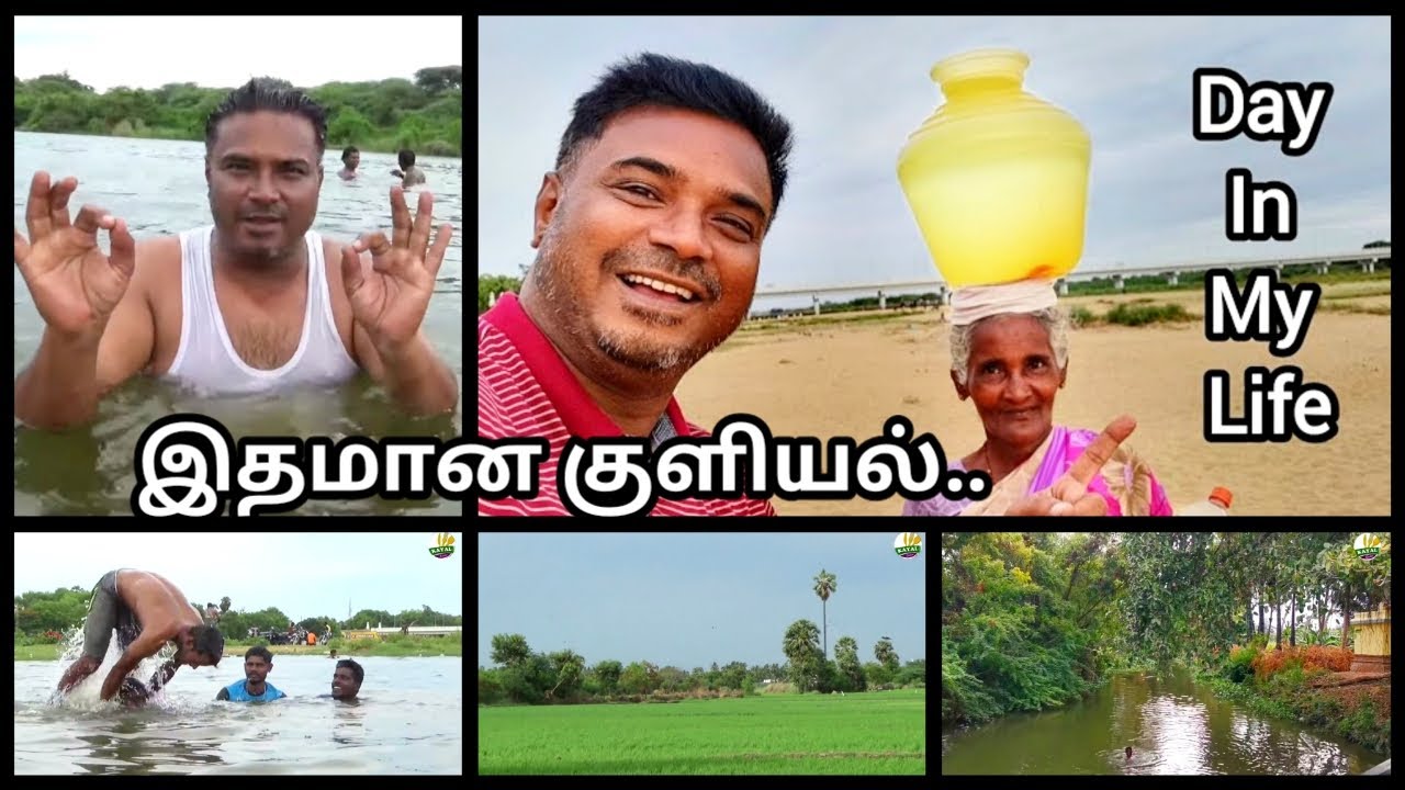 மாட்டுப் பண்ணையும், ஆற்றுக் குளியலும் / Day in my Life / vlog / Kayal vision /