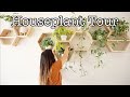 HOUSEPLANT COLLECTION TOUR 2020