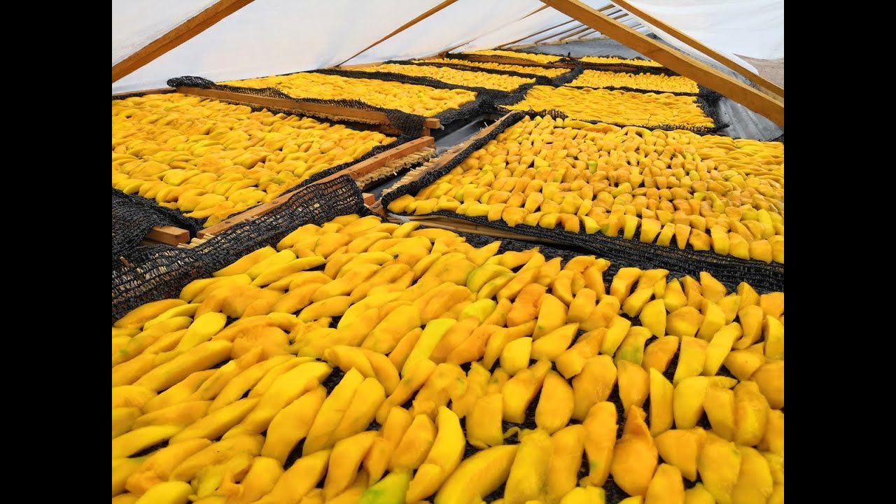 Agri-food Systems and Rural Development (ASRD) - Master's study programme (EN)