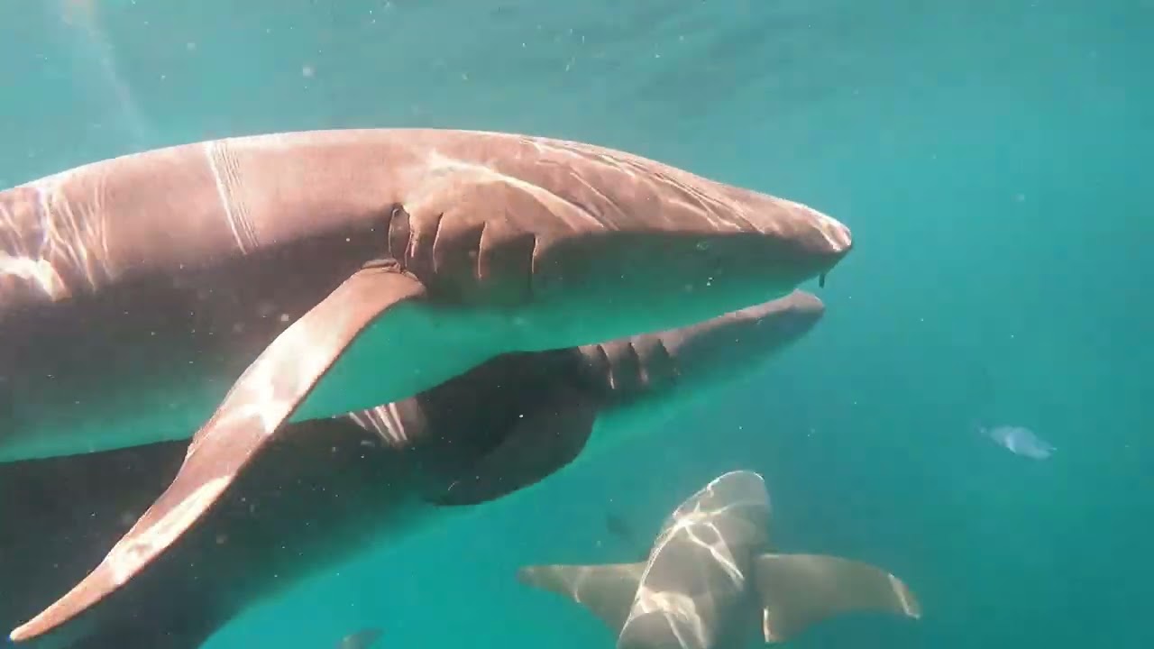 2022-12-15 Maafushi, Maldives 馬爾地夫居民島