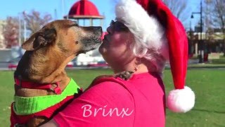 HBPS Holiday Wishes 2015