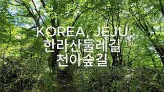 KOREA, JEJU #한라산 #둘레길 #천아숲길 숲 속 힐링 영상 그리고 명상 사운드, #새소리 #birdsong #바람소리 #불면증 치료 잠 잘 오는 영상 힐링 영상 수면 명상