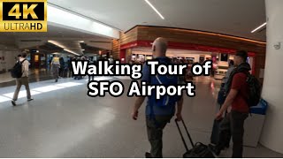 Walking Tour of San Francisco International Airport - Terminal 1 | SFO Virtual Walking Tour 4K 60fps