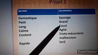 Les synonymes et les antonymes/ المرادفات والاضداد projet 1- 2 et 3