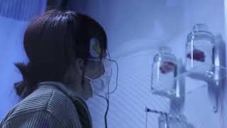 Information (NEW)The Body as Interface EGG VIDEO News