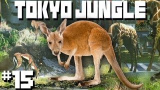 Tokyo Jungle (with Danielle): Kangaroo Boxing - Part 15 screenshot 4