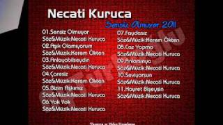 Necati Kuruca - Sensiz Olmuyor 2011