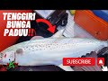 UNLOCK NEW SPECIES PERSONAL!!! | INFLATABLE BOAT MALAYSIA