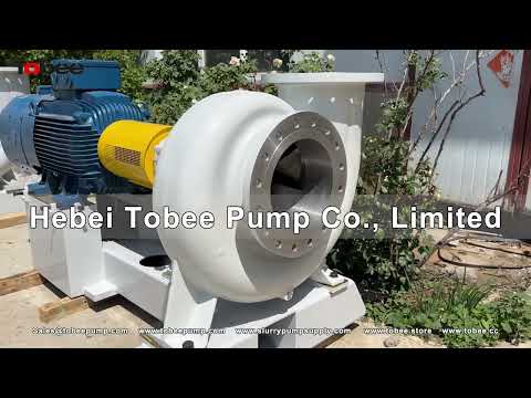 Tobee® A43 350 Single stage Centrifugal Pump with WEG Motor