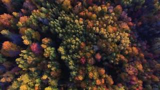 Brilliant fall colors in Northern Wisconsin