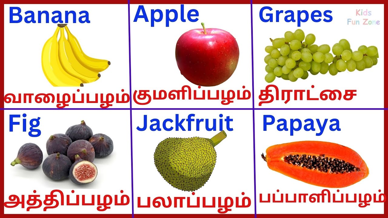 Fruits Name   Learn Fruits Name in Tamil and English for kidsKidsFunZone 01