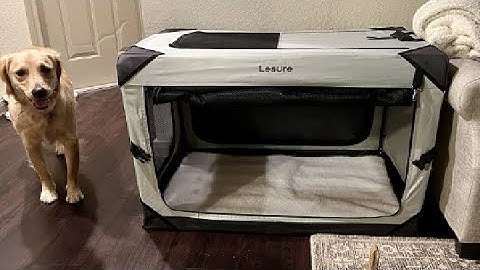 Collapsible Dog Crate, Portable Dog Travel Crate, Qpinkpet Soft Foldable Dog Crate Kennel for Car