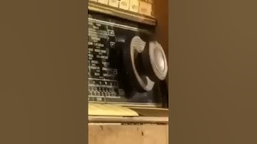 يا أيها الناس اتقوا ربكم إن زلزلة الساعة شيء عظيم ) محمدصديق المنشاوي #آية #تلاوة_خاشعة #يوم_القيامة