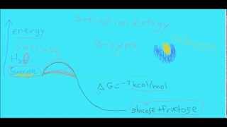 Enzyme tutorial in less than 4 minutes
