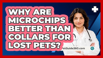 Why Are Microchips Better Than Collars for Lost Pets?