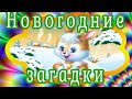 Новогодние загадки от Солнечного зайчика