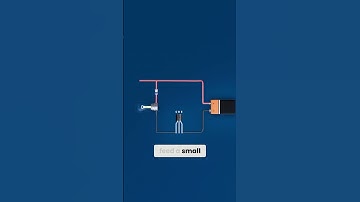 How BJT Transistors Act as a Switch In a Circuit? | Transistors Explained #shorts #transistors