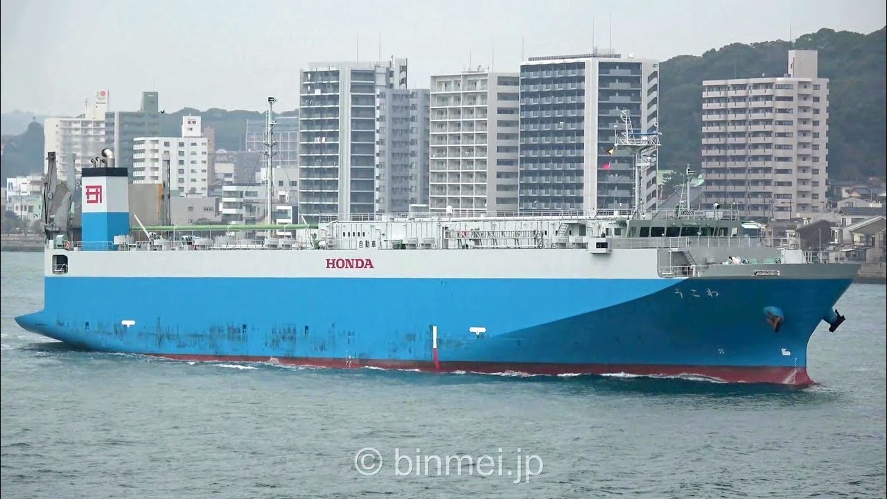 わこう - 日向海運 自動車運搬船 / WAKO - Hyuga Kaiun vehicles carrier - YouTube