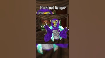 Perfect loop? #gorillatag #gorillatagquest #gtag #vr ￼