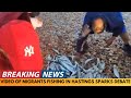 Hastings Shoreline Fishing Quiz