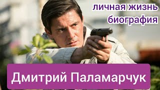 Дмитрий Паламарчук, личная жизнь, жена, дети, актеры сериала Реализация