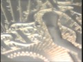 Manufacturing of coins