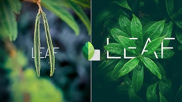 How to add text behind object: Snapseed  Tutorial | DebPixels