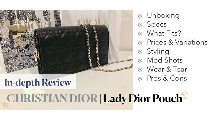 Lady Dior Pouch - 1 Year Review with Mod Shots 