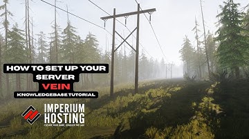 VEIN  -  How to set up your server