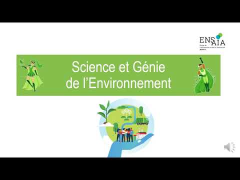 Science De L’Environnement Vs Génie De L’Environnement : Quelle Est La Différence ?